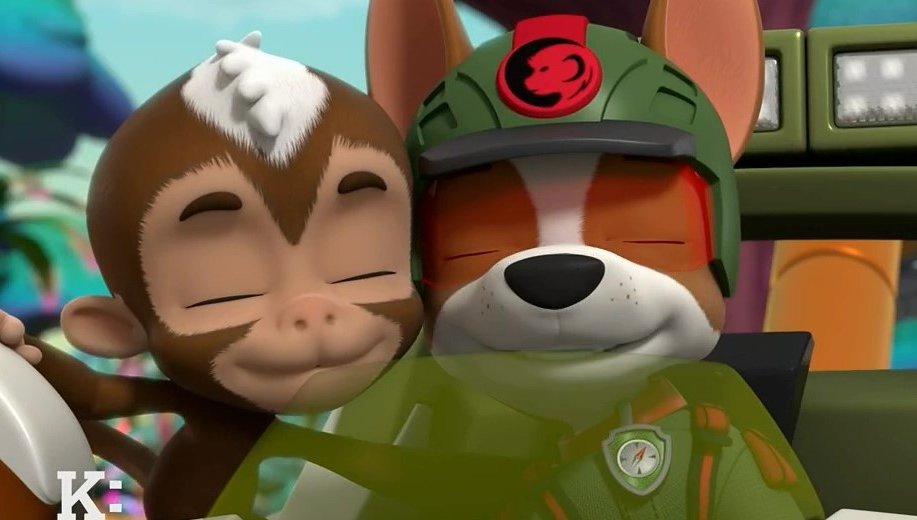 ZumaRockyFan21's tweet photo. These new monkeys have a thing for #Tracker. #JunglePups #PAWPatrol https://t.co/mUqfuFokz9