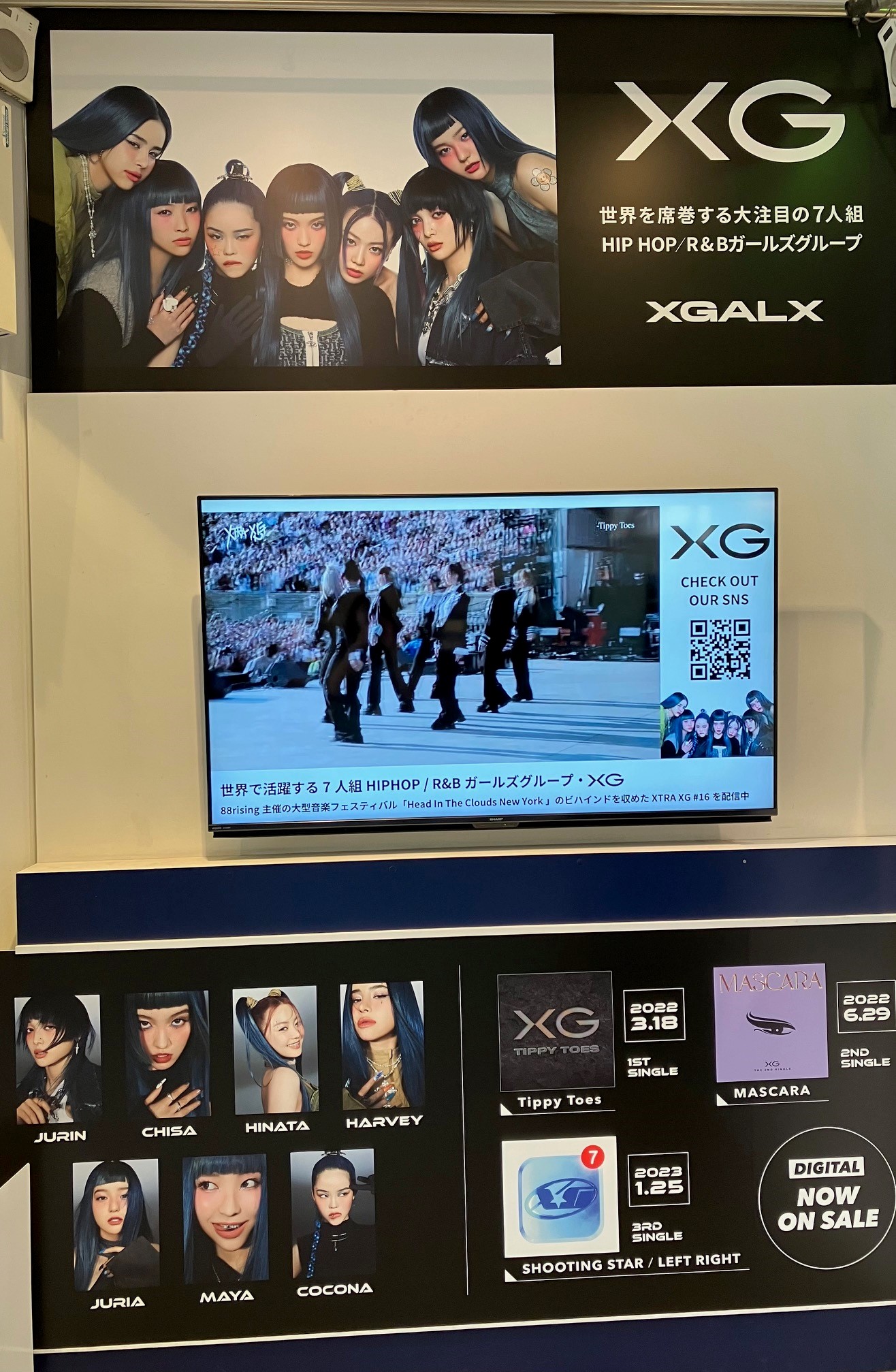 SHIBUYA TSUTAYA 地下2F エンタメ/Music(シブツタ) on X: 