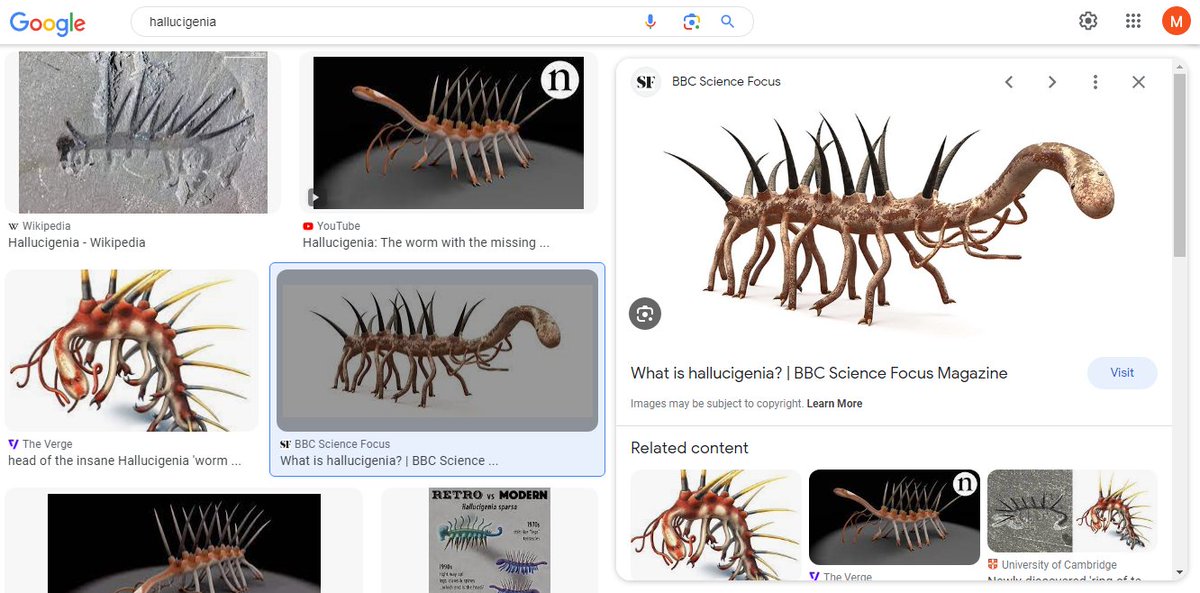 you should take risks when designing creatures. because chances are nature has designed something even sillier and it's either extinct or hiding in the ocean somewhere