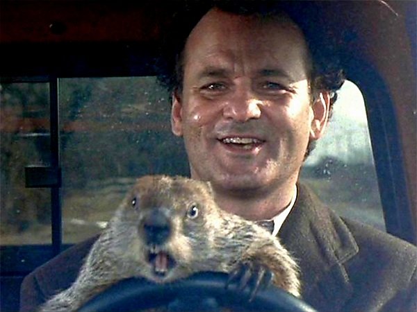 Happy #groundhogday ...