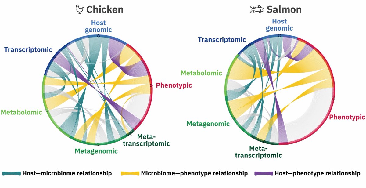 The project generated the world’s most comprehensive hologenomic dataset for chicken and salmon – now open to all via the Holo Food Data Portal courtesy of our @MGnifyDB, Biosamples, @ENASequence, and @MetaboLights teams. holofooddata.org