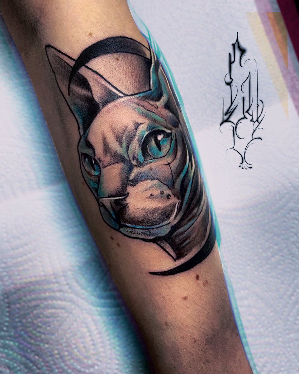 Kleine Shynx 🐱
#tattoo #ink #vegan