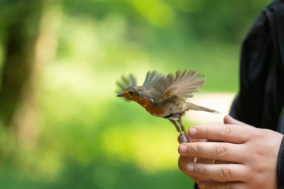 Lars Burnus tweet media