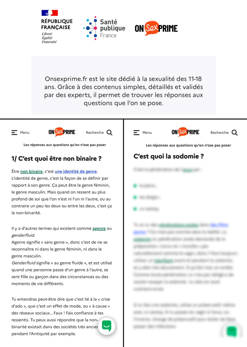 MarionMarechal's tweet photo. ⚠️ Théorie du genre, transgenrisme, pratiques sexuelles : ce site officiel du gouvernement s’adresse à des enfants à partir de 11 ans !
L’énergie de l’Etat et l’argent des Français devraient être utilisés pour protéger nos enfants de tout cela, pas les y exposer. https://t.co/rcJ95oEck2