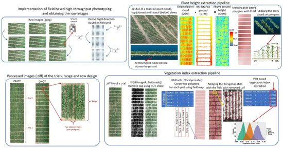 RemoteSens_MDPI's tweet photo. 📢 Temporal #VegetationIndices and #PlantHeight from #RemotelySensedImagery Can Predict #GrainYield and #FloweringTime #BreedingValue in #Maize via #MachineLearning Regression
by Alper Adak, Seth C Murray, Sofija Bozinovic et al.
🔗 Read the full article: https://t.co/RVeL3rCkyk https://t.co/wmKVlnvJqW