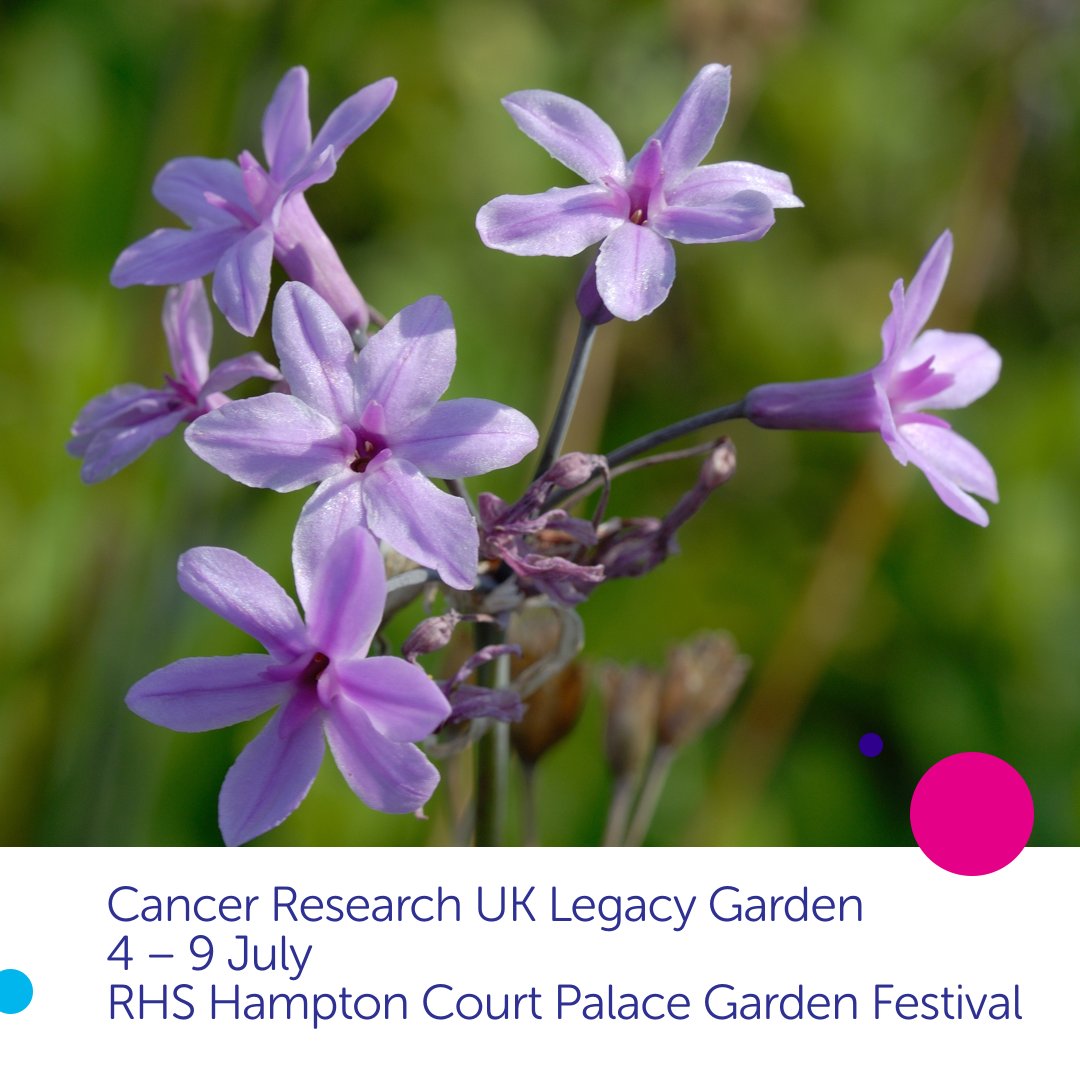 CR_UK's tweet image. Next week we’ll be at the @The_RHS’s Hampton Court Palace Garden Festival with our legacy garden. Come and see us if you can! #RHSHamptonCourt @HerveyBrookes