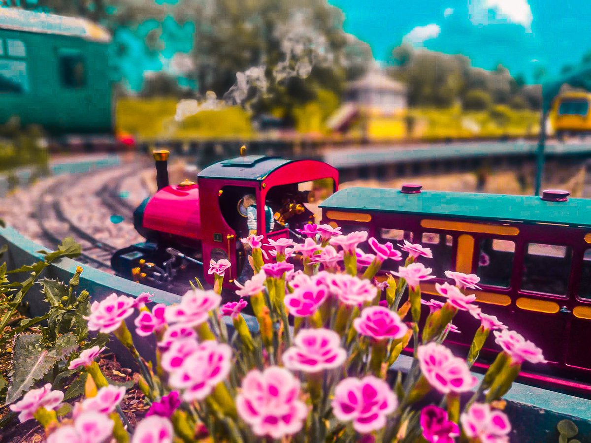 ButterleyGRA's tweet photo. A Vibrant Sunday running session
Photos by
Dave
#ButterleyGardenRailway #BGRA
#GardenRailway #gscalelayout #gardentrain #gardenlayout #Railway #railroadphotography #RealSteam #railroad #Locomotive #LiveSteam #lightroom #modeltrain #minaturerailway #modelengineering https://t.co/OXZHlFVlGQ