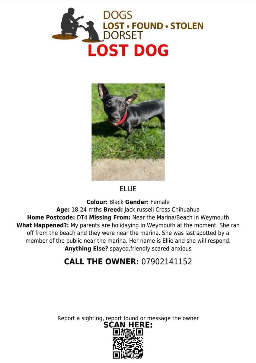 Please help us bring Ellie home 🥹 She went missing in Weymouth last night. #Weymouth #MissingPets #LostandFoundPets #MissingDog #UK #England