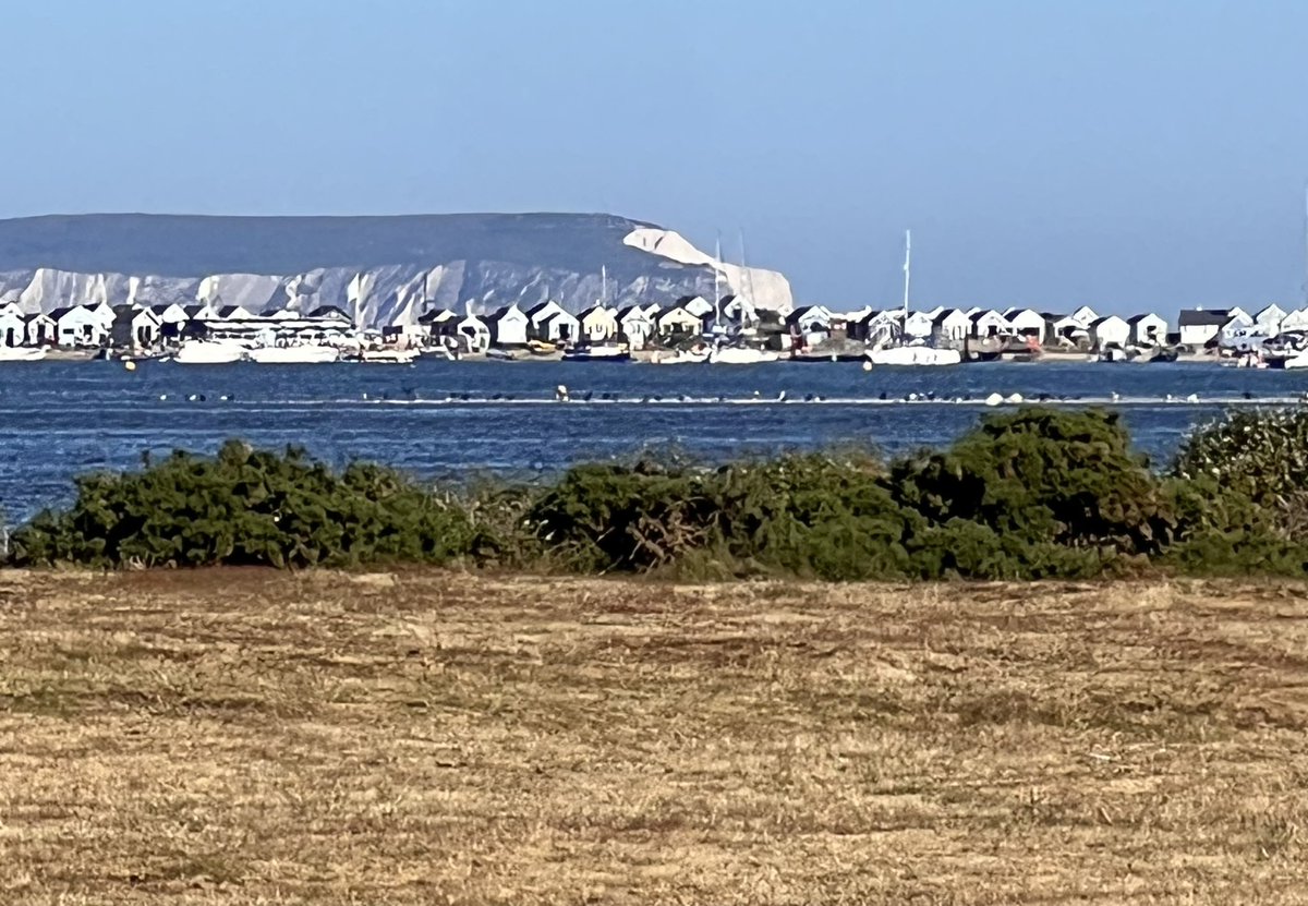 Standing on Stanpit Marsh Nature Reserve and looking over the confluence of Rivers Avon & Stour and Mudeford Spit to the Isle of Wight in the distance. #stanpitmarsh #naturereserve #mudeford #IsleofWight #nature #minimiseourhumanfootprint