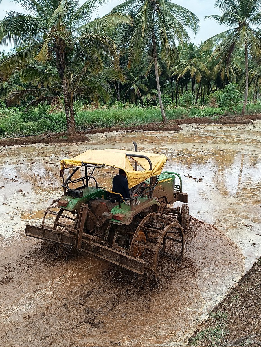 vakkinichallaf2's tweet image. &quot;🌾 It&apos;s that time of the year again! Getting ready for the paddy fields 🌾 Jhon Deree tractor in action, tilling the land and setting the stage for a bountiful harvest. Exciting times ahead! 🚜🌾 #PaddyFields #Preparation #FarmingLife&quot; @JohnDeere #kerala farm #vakkichallafarm