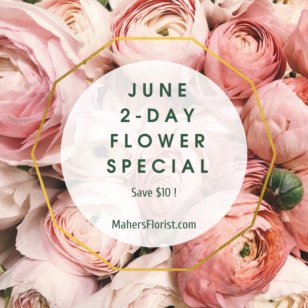 ✨We are proud to be the best choice for fresh #flowers, #plants & #gifts.🌸

Shop our 2-day special at ow.ly/kcr050NaGsg; save $10 using code 𝐉𝐔𝐍𝐄𝟏𝟎 at checkout.
#mahersflorist #flowerspecial #florist #flowerdesign #bouquet #pasadenaflorist #flowerdelivery #shoplocal