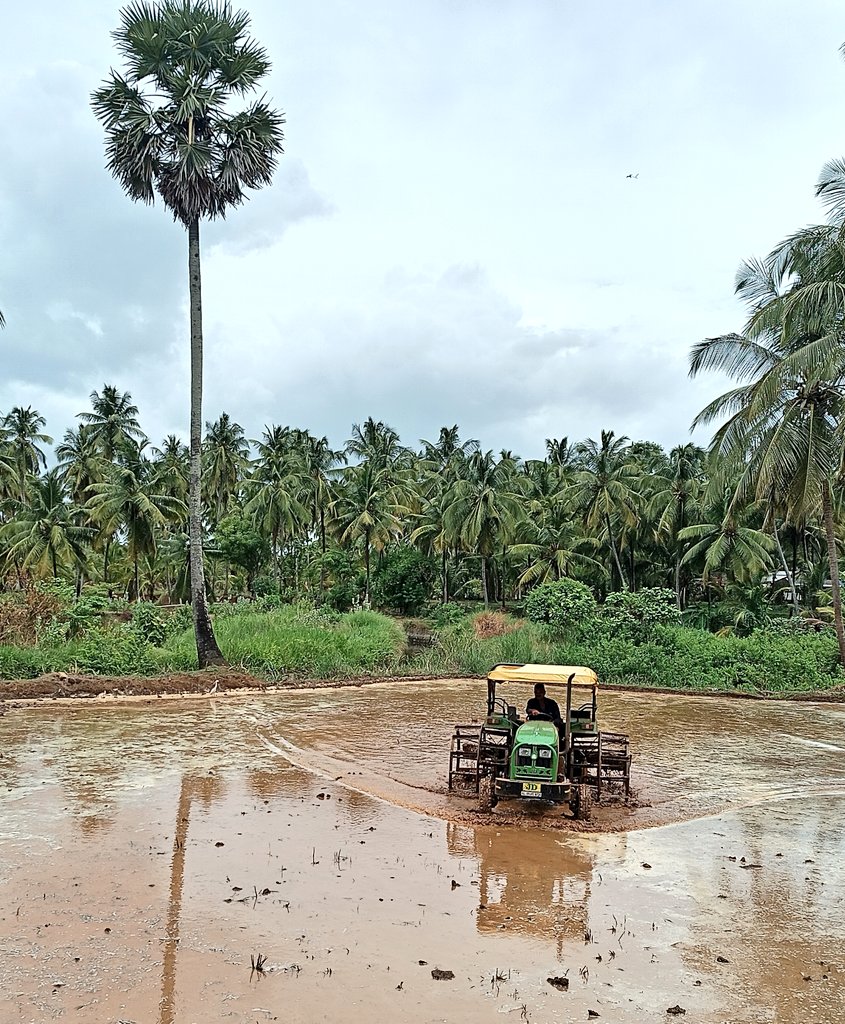 vakkinichallaf2's tweet image. &quot;🌾 It&apos;s that time of the year again! Getting ready for the paddy fields 🌾 Jhon Deree tractor in action, tilling the land and setting the stage for a bountiful harvest. Exciting times ahead! 🚜🌾 #PaddyFields #Preparation #FarmingLife&quot; @JohnDeere #kerala farm #vakkichallafarm