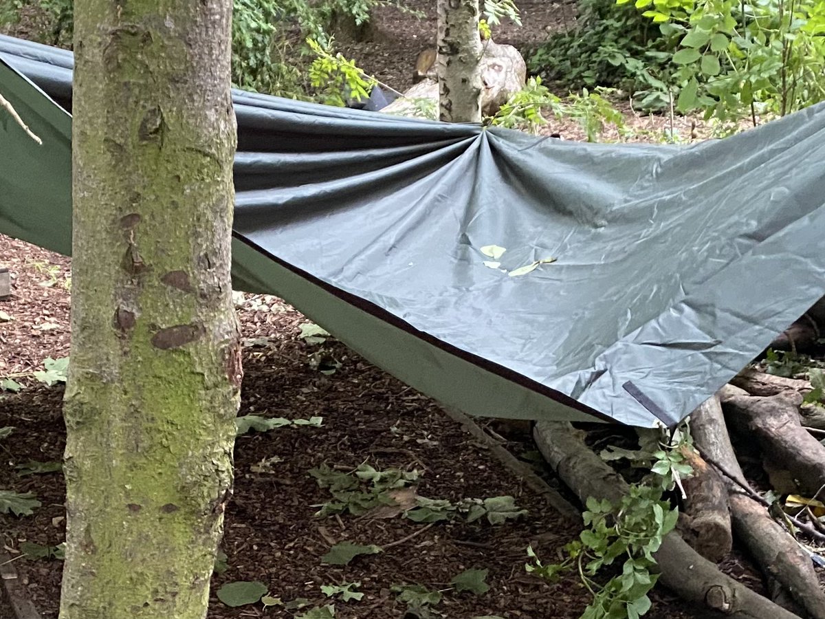 Year 2 HighStPrimary tweet media