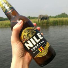 palyec's tweet image. True reward from the source. The feeling of sipping on a cold Nile Special beer while cruising on the world's longest river; "River Nile" 😌🇺🇬... And oohh, while viewing some of the most iconic wildlife nature has to offer 😍
#VisitUganda