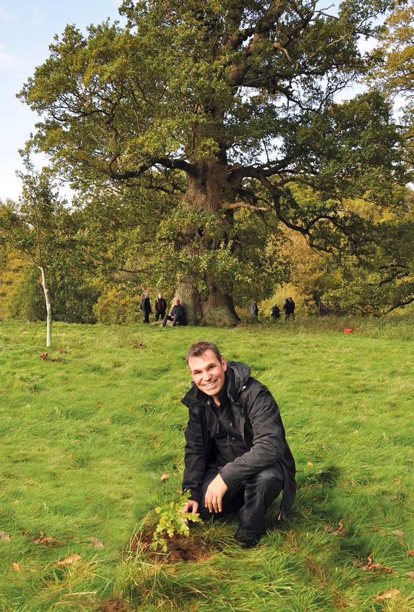 Join me to celebrate the ancient trees of Selwood Forest – its history, legacy and lore, at Frome Town Hall, for an illustrated talk featuring photography, local stories and specially recorded music and video. Tickets selling well – get yours here: cheeseandgrain.com/.../1115-the-a…