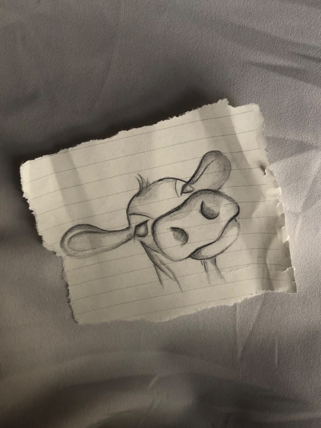 عشان عيد وكذا اللي ماعنده بقر رسمت له عشان الاضحيه كل عام وانتو بخير😂🤏🏻