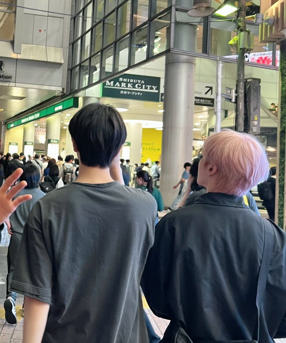 뭉게 (@moong_qioip) on Twitter photo 