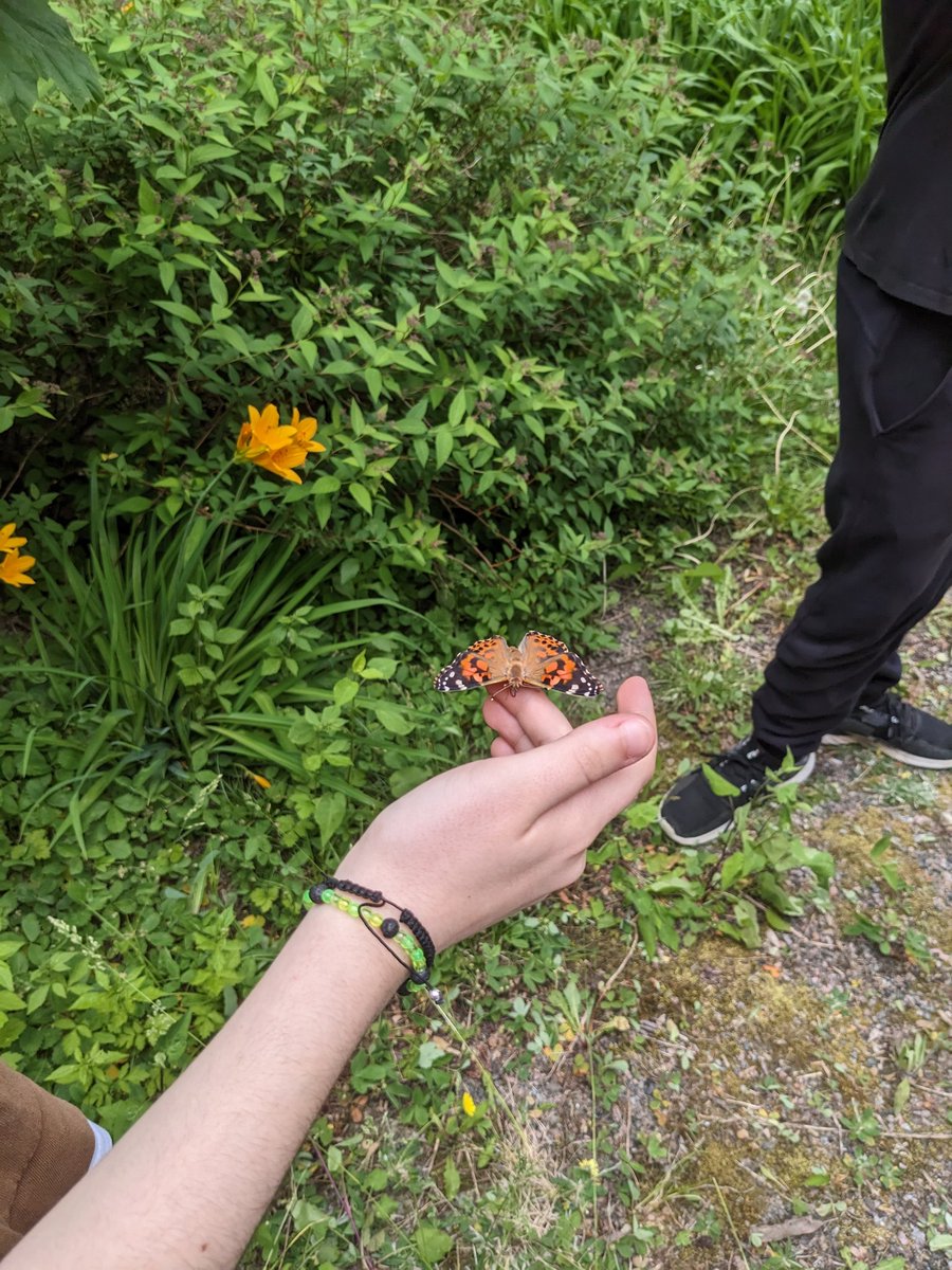 Dr. Tasha Ausman tweet media