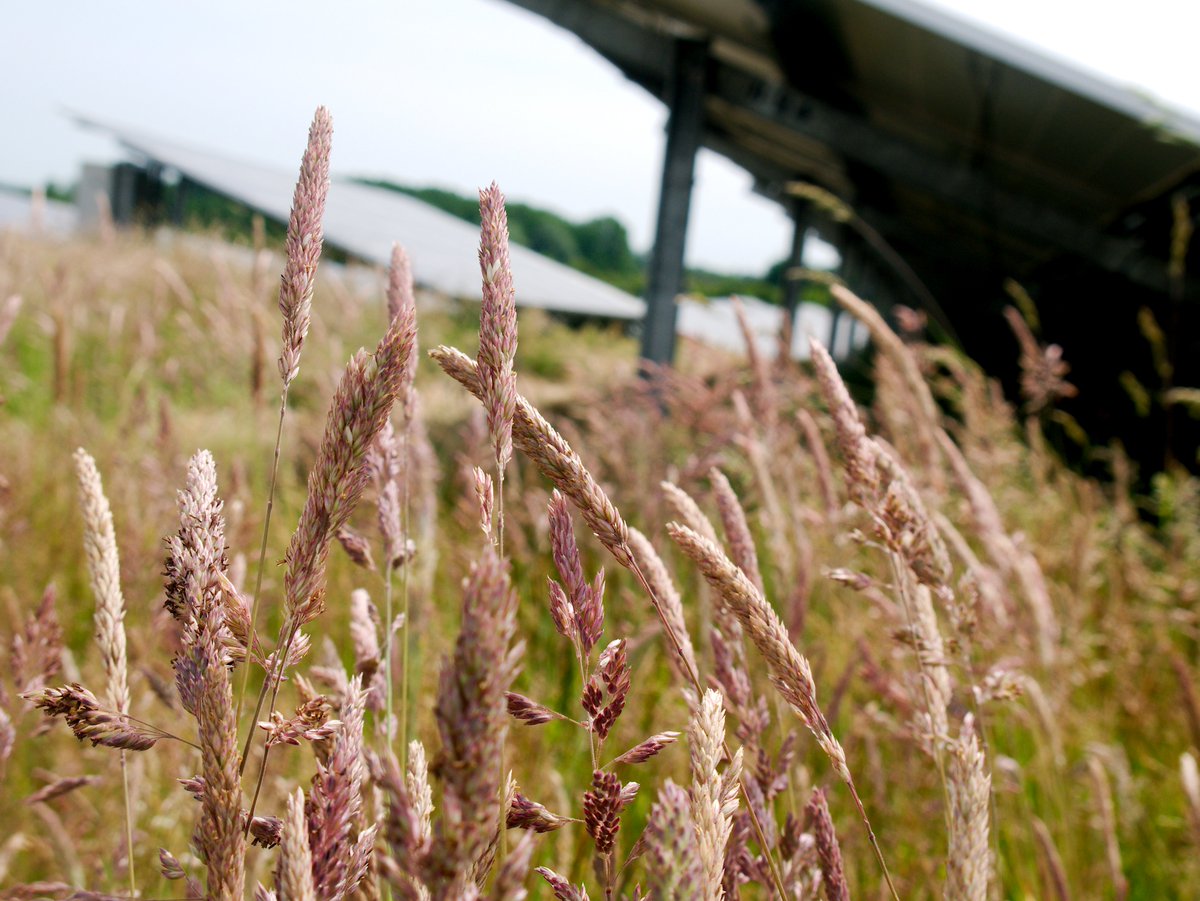 Kent Community Energy tweet media