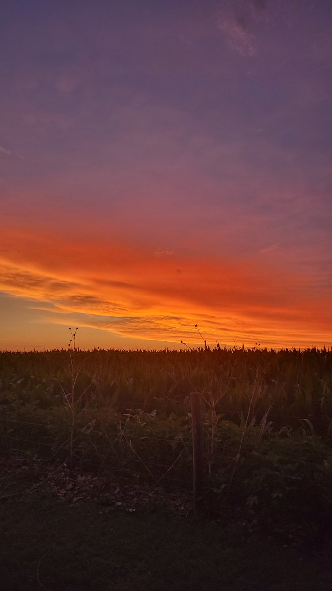 TeamOhio4HSS's tweet photo. Good morning! 
Good luck to all the shooters @4HShootingSport Championships! #4HStrong @ohio4h https://t.co/JEAyPsJMmZ