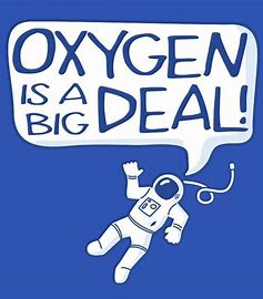 A #WestCork farmer once nailed it: 'A donkey might be roaring at ya out of a field - you're under no obligation to roar back!' Ignore the bleats of the likes of that bloke from #Bassetlaw, #Dorries and #Gullis. They so desperately seek your attention. Don’t give them your oxygen.