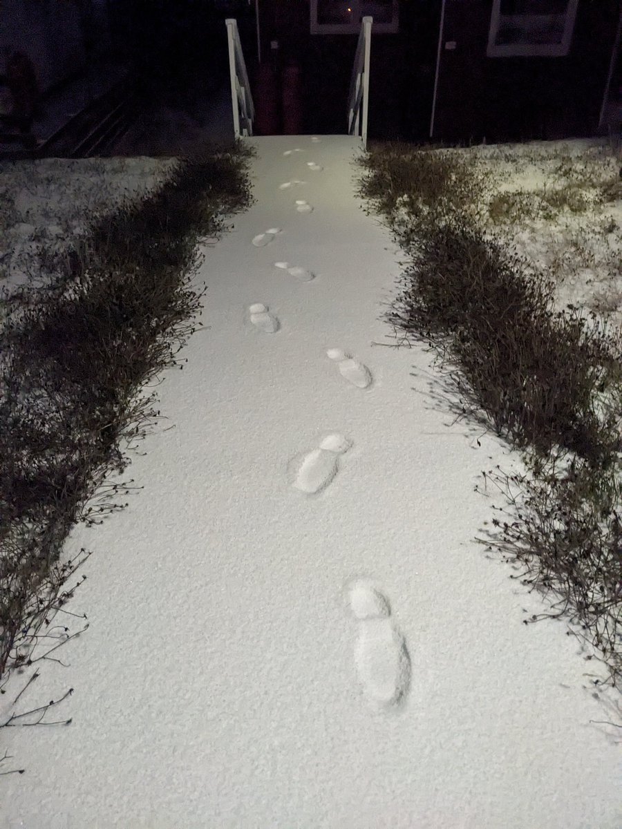 Snow day? Snow way. #Falklands