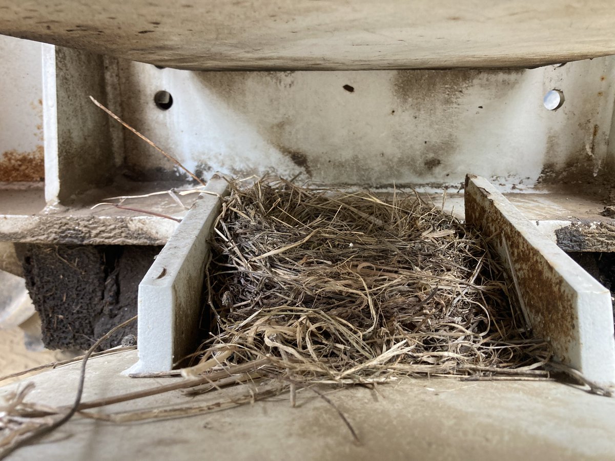 LePogamGuillaum's tweet image. Bonjour à tous 
Découverte sur la remorque 👈👀
Debout les oiseaux 🪹 c’est l’heure de la moisson 😊
#FrAgriMoisson2023