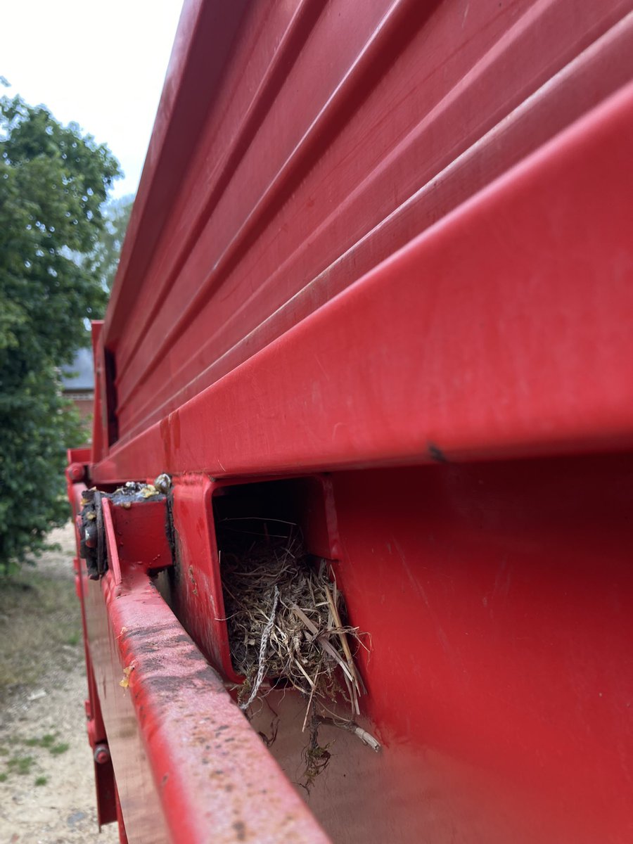 LePogamGuillaum's tweet image. Bonjour à tous 
Découverte sur la remorque 👈👀
Debout les oiseaux 🪹 c’est l’heure de la moisson 😊
#FrAgriMoisson2023