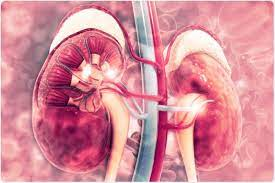 Nephrology19's tweet photo. #Kidney #Transplant For #End-#Stage #Renal #Disease: #Top 6 Myths That May #Surprise You
Read more: https://t.co/jxSwXDKOqu
share your paper on: https://t.co/OJc7IwIpPa
#oain
#manuscript
#research
#kidney #transplant
#japan https://t.co/Z6OYsMWQdU