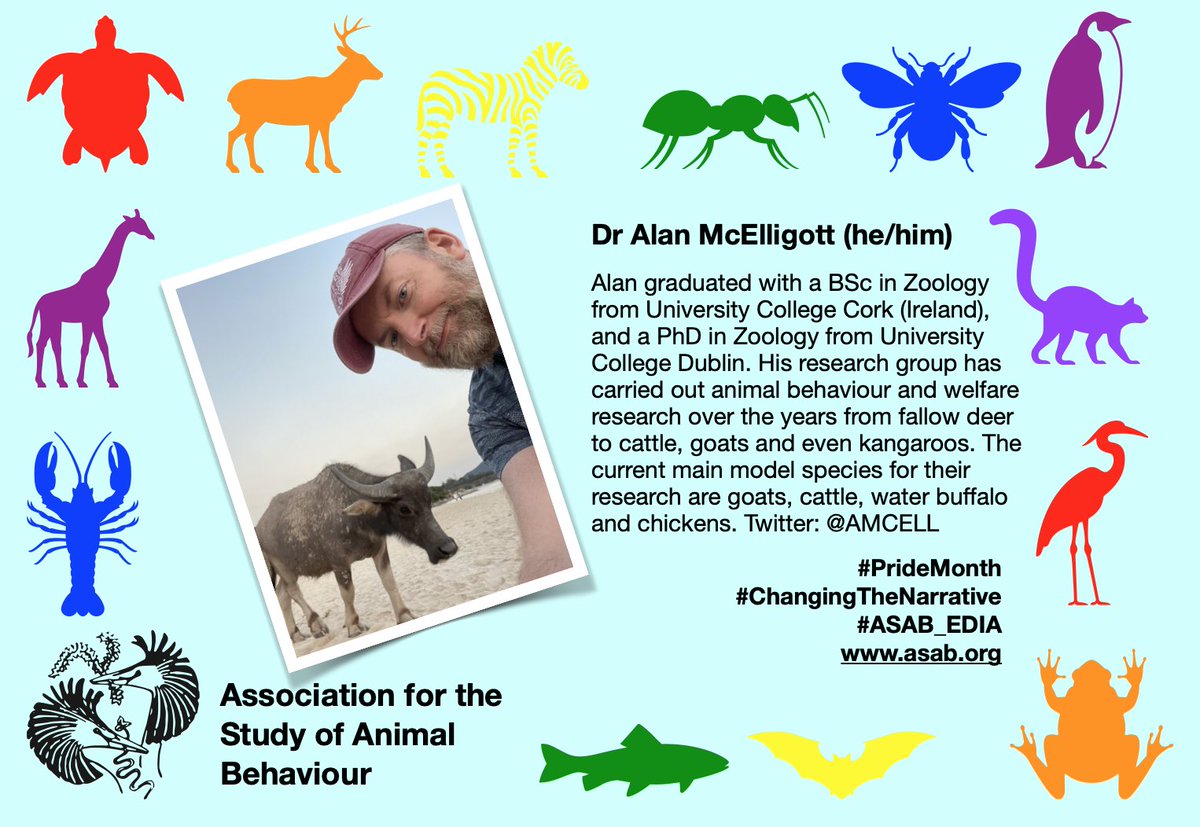 ASAB (@asab_org) on Twitter photo Dr Alan McElligott <a href="/AMCELL/">Alan McElligott</a> from @HKVetSchool, chair of cityu.edu.hk/jcc/about-us/d…. Alan also sits on the @asab_tweets EDIA Committee and is depended on by <a href="/ASABeducation/">Education Officer</a> for being a force for the good. Up there as one of our #PrideMonth favourites 🏳️🌈❤️🐶🐕🦌🐔🐃🐐💙💜🏳️🌈 Dr Alan McElligott <a href="/AMCELL/">Alan McElligott</a> from @HKVetSchool, chair of cityu.edu.hk/jcc/about-us/d…. Alan also sits on the @asab_tweets EDIA Committee and is depended on by <a href="/ASABeducation/">Education Officer</a> for being a force for the good. Up there as one of our #PrideMonth favourites 🏳️🌈❤️🐶🐕🦌🐔🐃🐐💙💜🏳️🌈