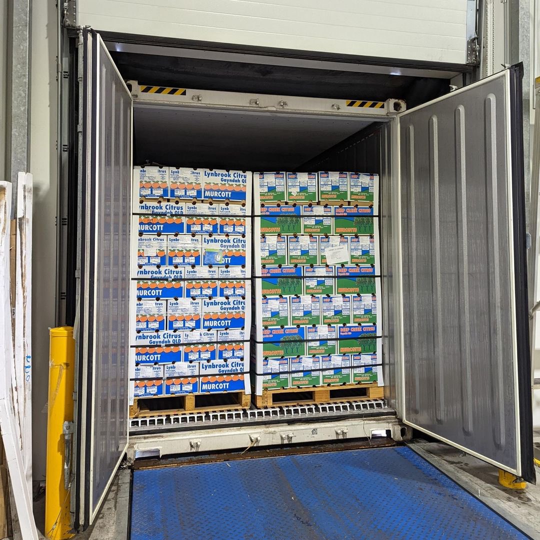 Nbytesgroup's tweet image. 🌟 Unleash the #GoldenRevolution! Our Honey Murcott has won Vietnam's heart! 🇻🇳 Experience an unrivaled taste sensation and join the #FlavorfulFrenzy! 🙌 Thanks to our amazing client for their trust and support! ✨Email hello@nbytesgroup.com.au for inquiries. Elevate your senses!