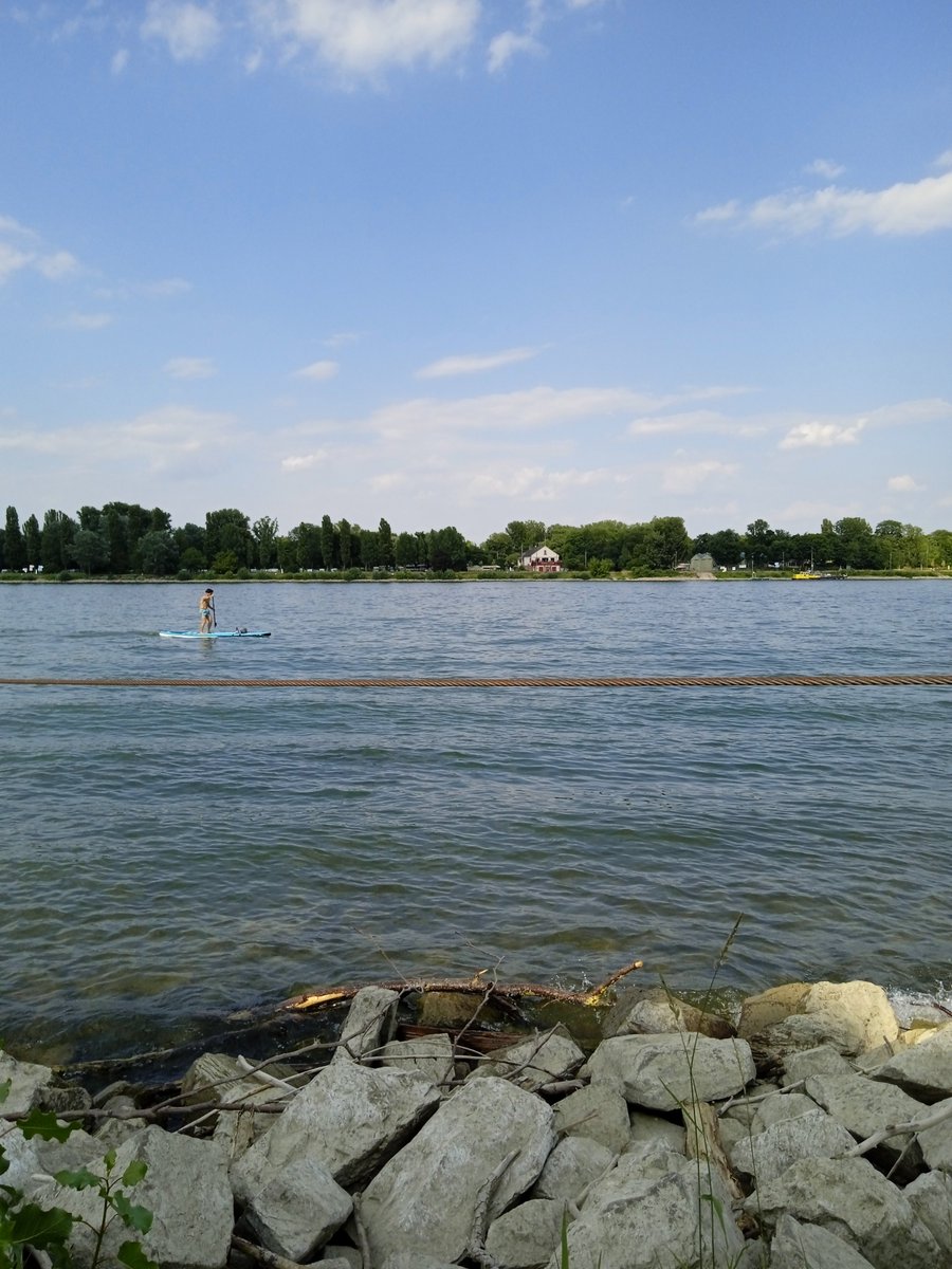 İki gün önceki Mainz gezisinden. Şu Rhine nehrinde yuzmek serbest mi değil mi anlayamadım, millet üstünde jetskiye falan biniyor ama kıyısında hıc yuzen yok