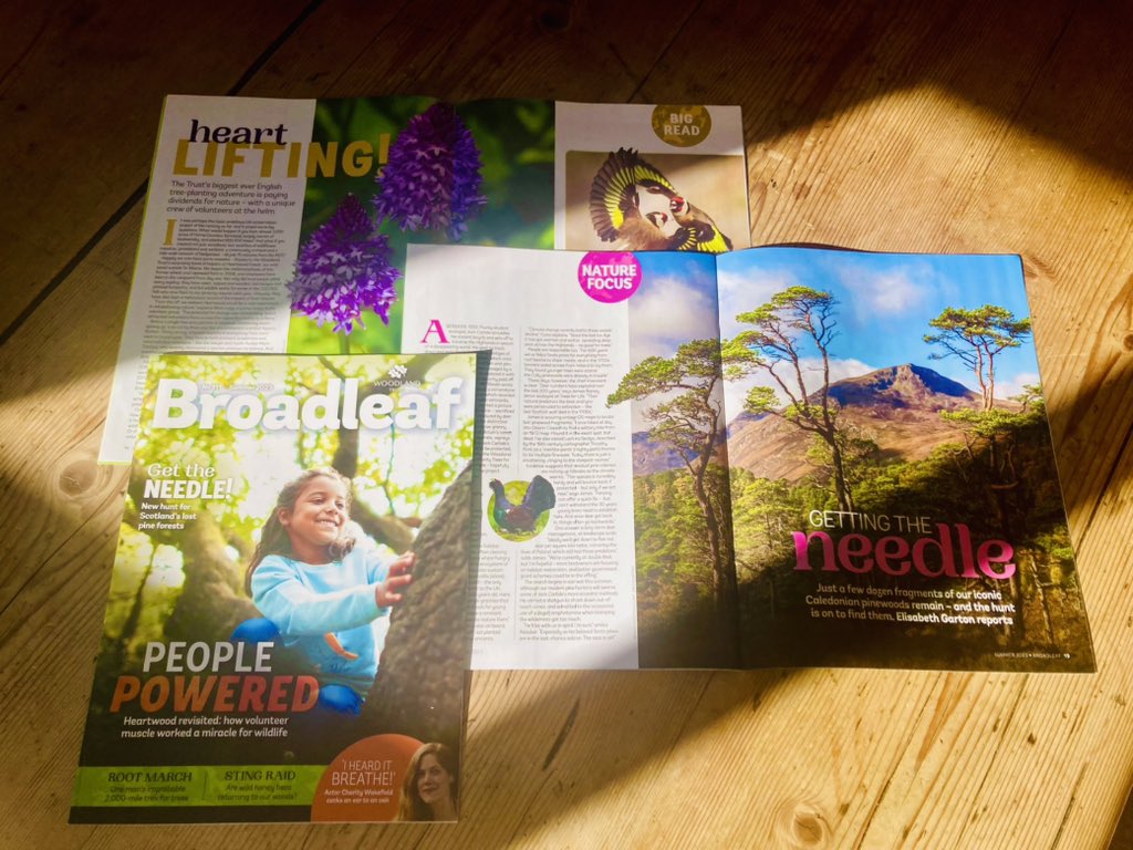 CrumpElisabeth's tweet photo. This #summer the sun swivels its mighty spotlight on @WoodlandTrust flagship mag #Broadleaf, where barn owls screech, wildflowers pop, yellow-necked mice nip …and a chap called Jock Carlisle gets his bike sat on by a stag. Intrigued? You should be! Blog:👉https://t.co/MxjCf0WYEV https://t.co/d3zc2s5piN