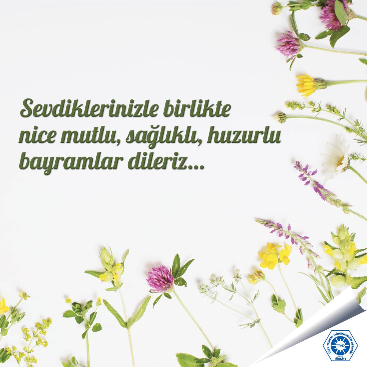 #ttmd #kurbanbayramı