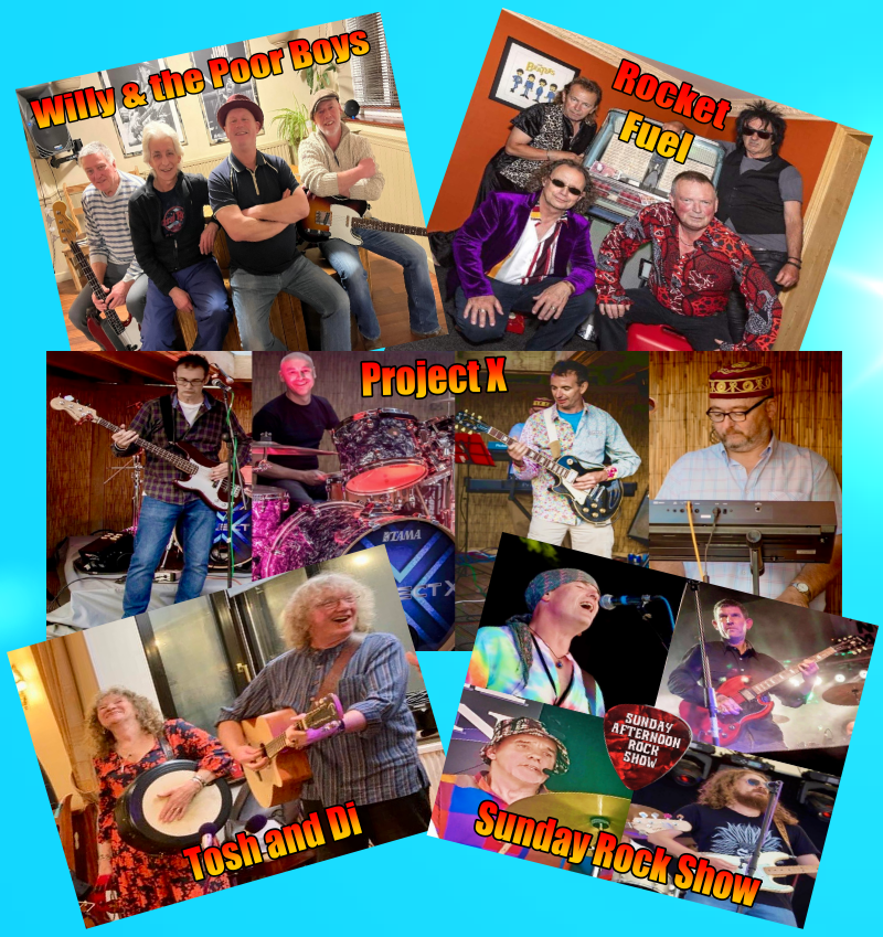 Here is the full line up for our Charity Music Day '13'  'Beer Garden' session on Sunday August 6th. We are grateful to all these musicians who are giving up their time and talent to support <a href="/nelsonsjourney/">Nelson's Journey</a>  and <a href="/macmillancancer/">Macmillan Cancer Support</a> Wristbands now available for a donation £2