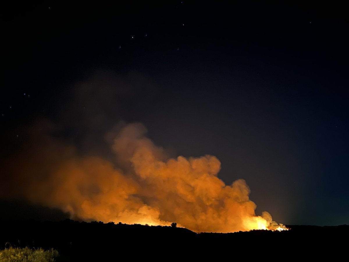 FirePhotoGirl's tweet photo. Dozer is on its way in and firefighters are slowing making access. #mustangfire #calimesa https://t.co/0t7l5cikQd