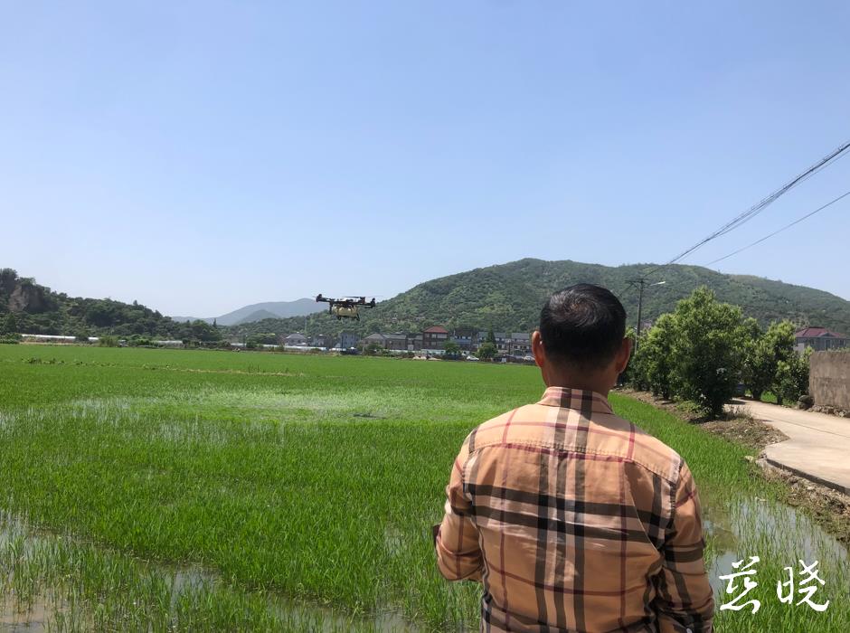 i_cixi's tweet photo. Qiaotou Town in #Cixi actively develops green industries, such as increasing farmland area, garbage classification, and greening the rural environment, so that villagers could increase their income. https://t.co/PdR6RfIsQA