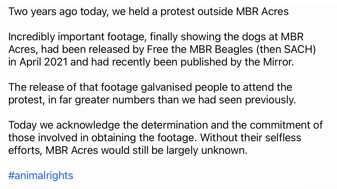 FreeMBRbeagles's tweet photo. https://t.co/sCLPqilSN2