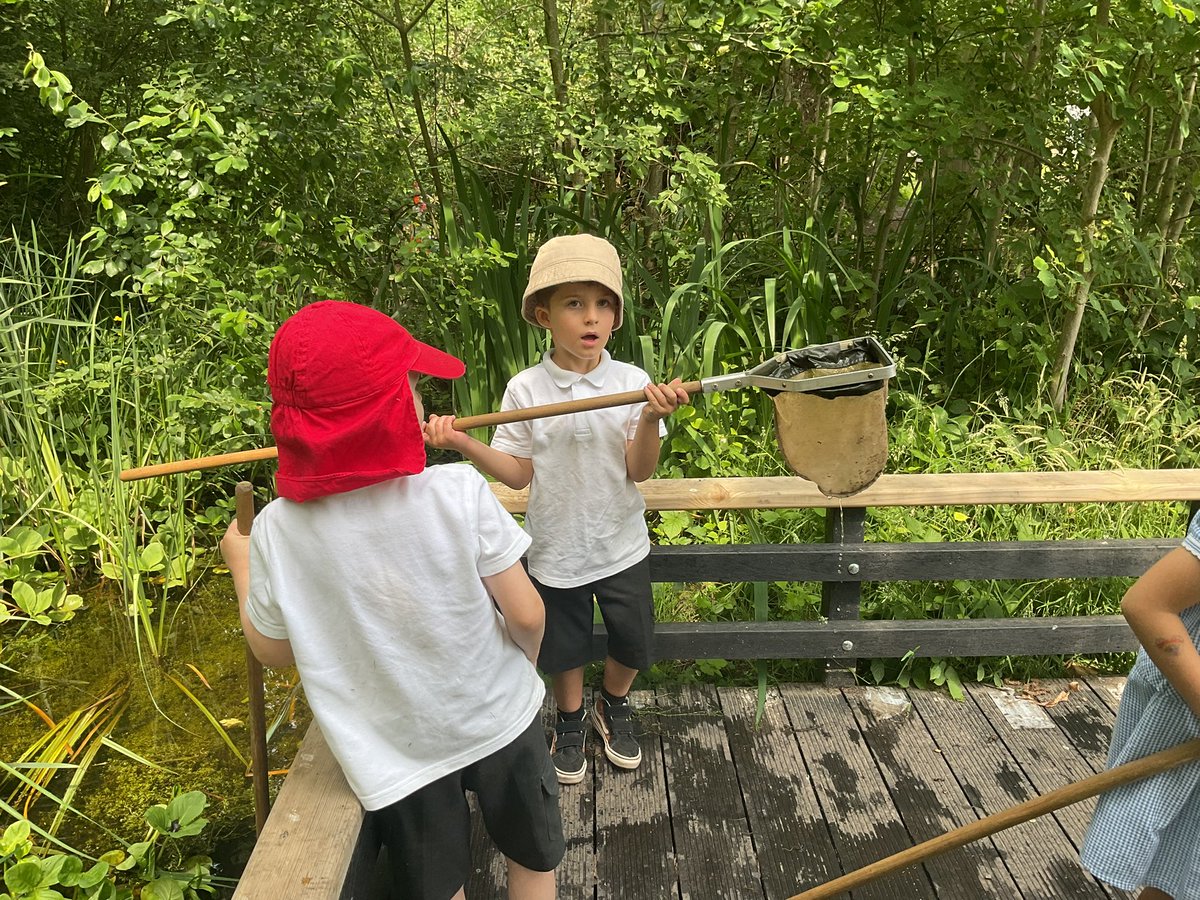 InfantWalsh's tweet photo. We had the best day at the Basingstoke Canal Centre for our Summer school trip. Silver class enjoyed taking a trip on, 'Rose bud' the canal boat, hunting for minibeasts with nets and pond dipping. We were lucky enough to find some Newts and a leech! https://t.co/R9T497aWck