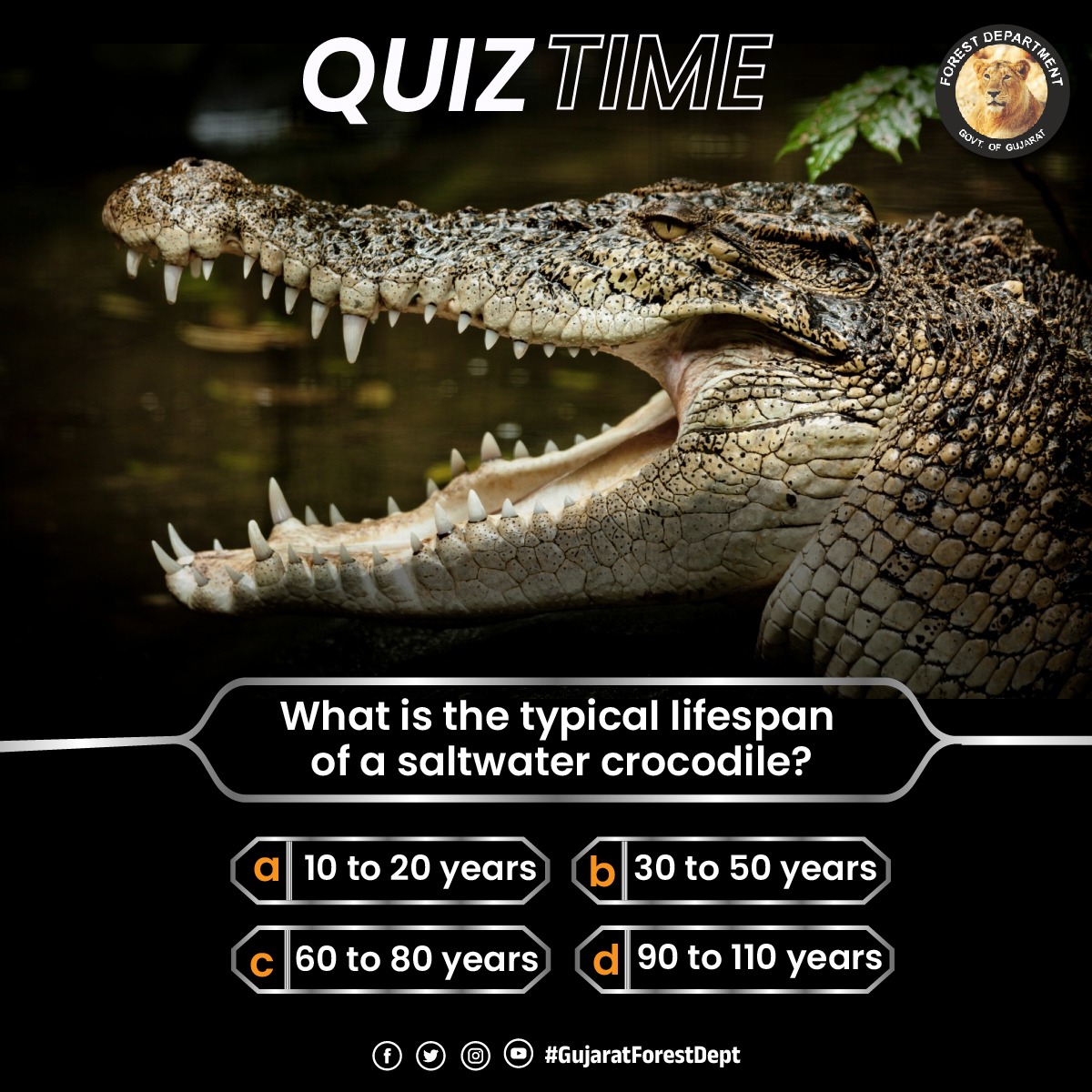 Test your wildlife knowledge with this captivating quiz! Can you guess the typical lifespan of a saltwater crocodile?  Comment your answer below and let's see who's got the right bite! 🦈📚 

#WildlifeQuiz #LifespanChallenge #GuessTheCrocodileAge