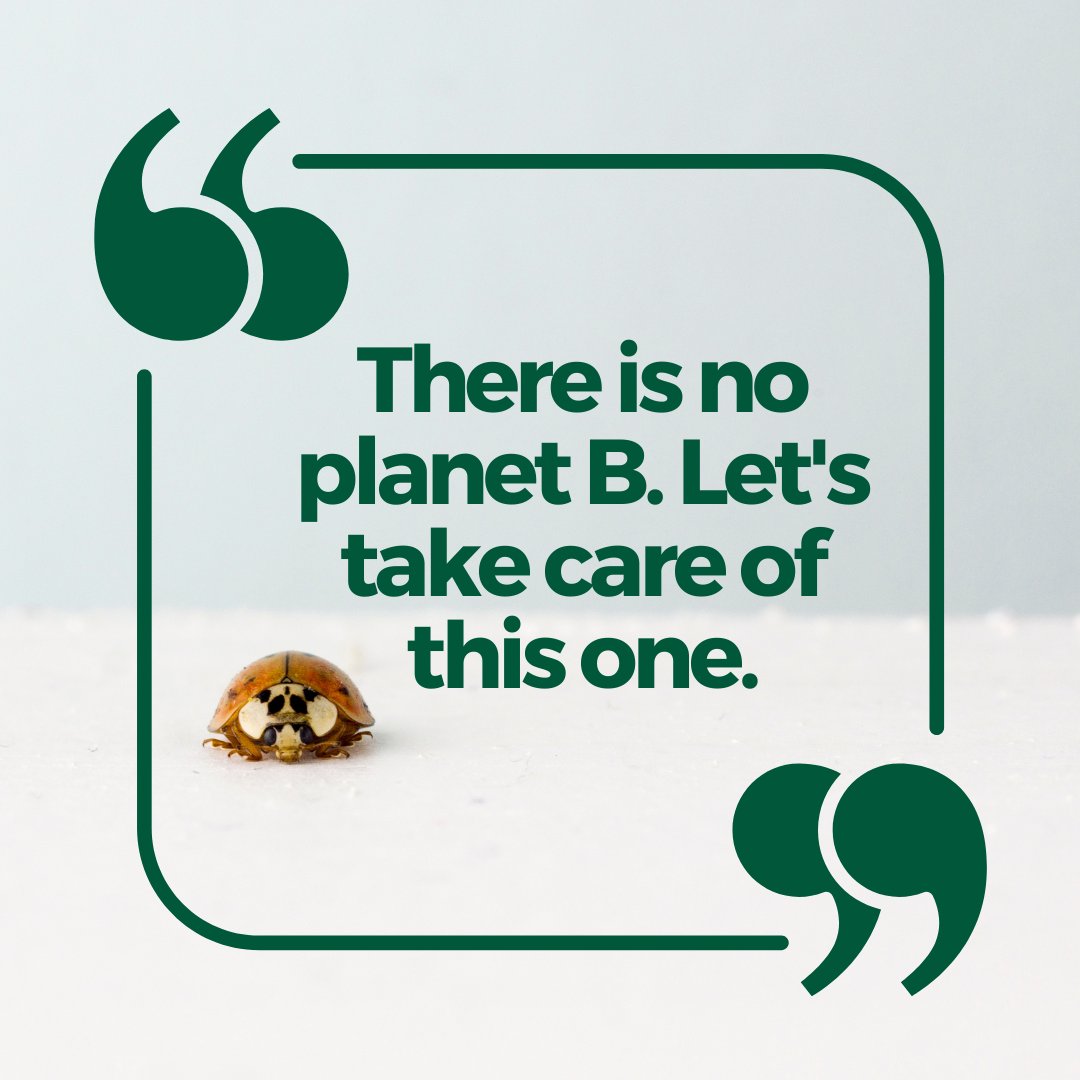 Greenpeace Africa tweet media