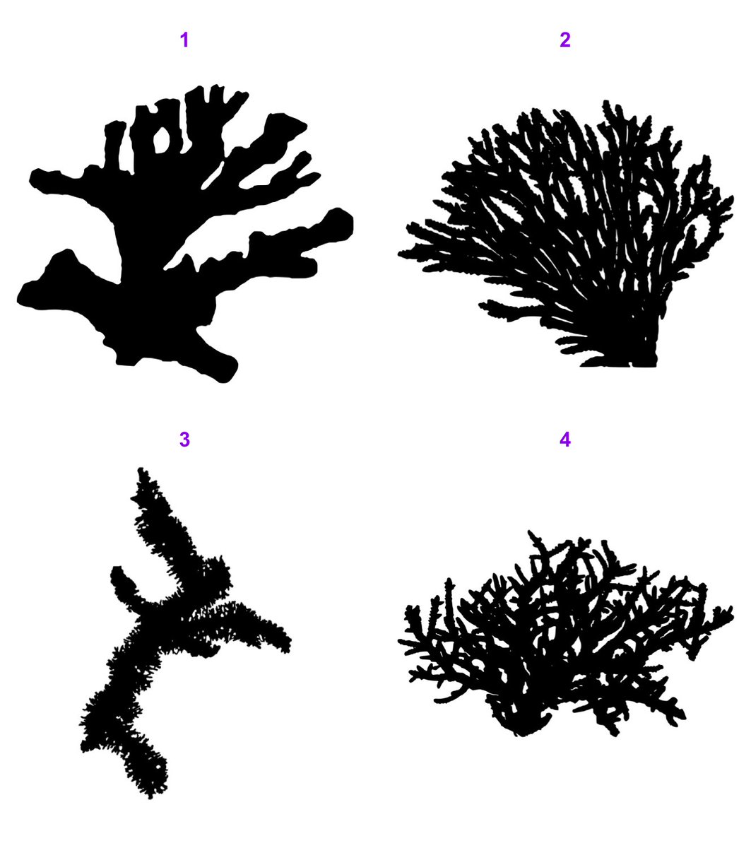 Our preprint describing rphylopic is now live on <a href="/biorxivpreprint/">bioRxiv</a> 📦🐜

The package has changed quite a bit this year, with a whole bunch of new functionality! You can find out more here:

🔗doi.org/10.1101/2023.0…

Feel free to contact myself or <a href="/willgearty/">Will Gearty</a> with any questions!