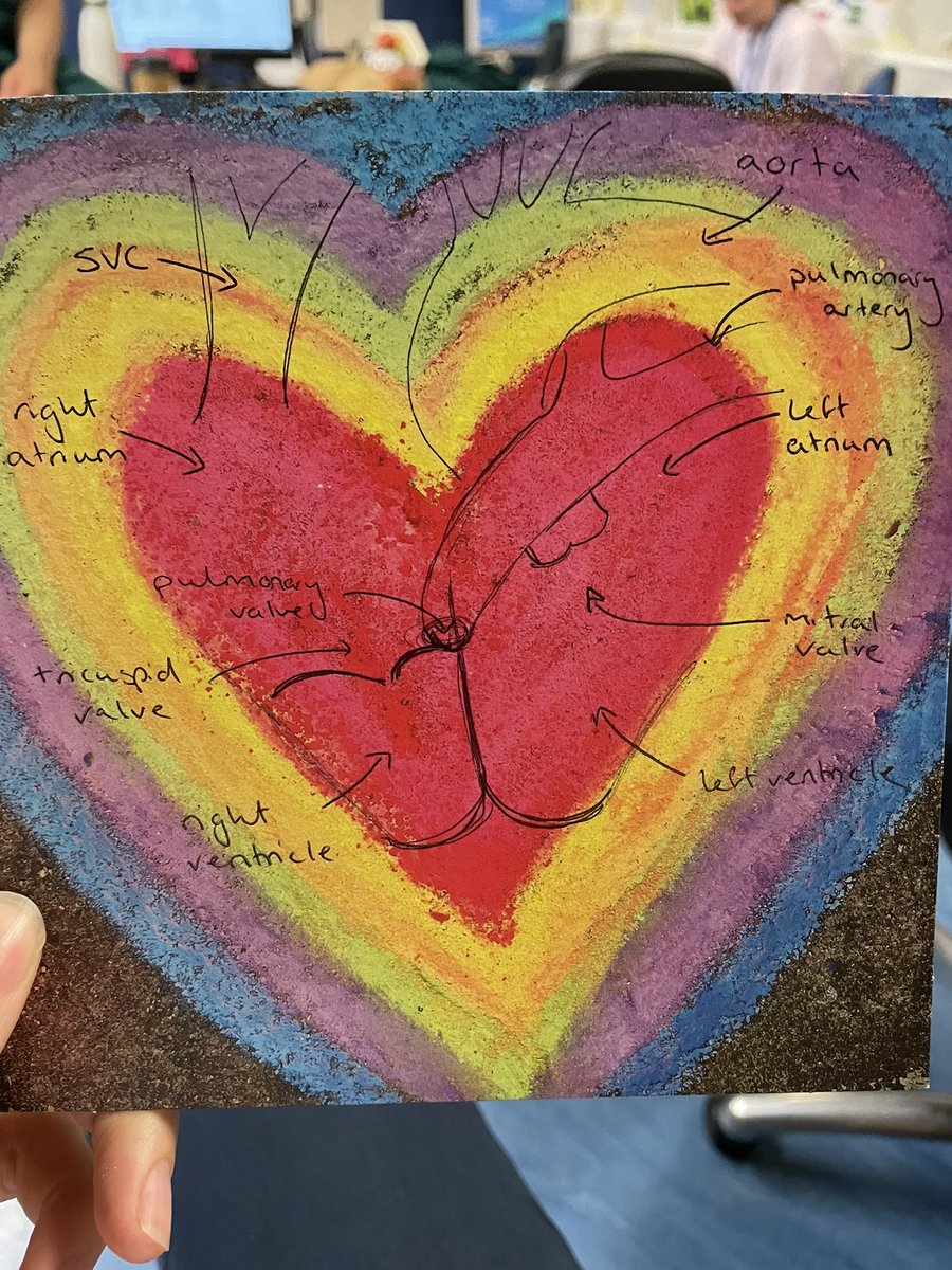 Goodbye to our wonderful junior physios, not sure whether to be impressed or concerned by the heart anatomy ….