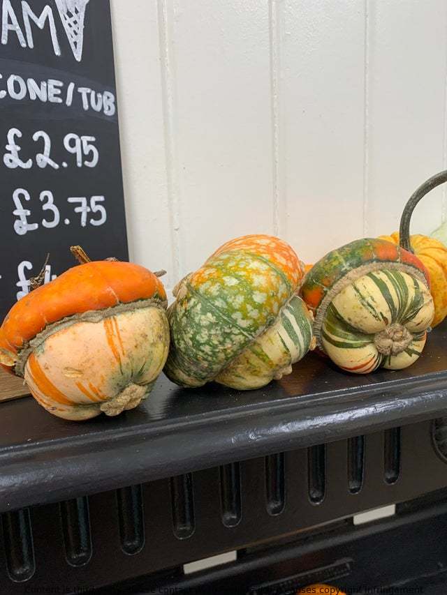 My work just put out a fall display of pumpkins and things. What are these? Are they natural or have they been cut and fused together to create this hybrid thing?