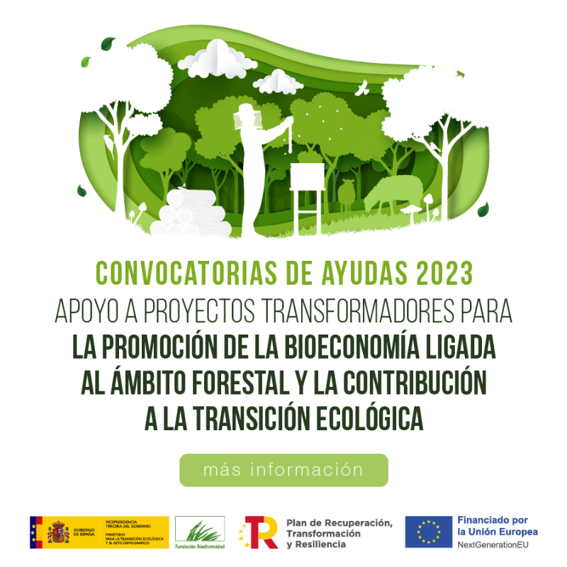 FBiodiversidad's tweet photo. Convocatoria | Subvenciones para la promoción de la bioeconomía forestal.

💵 77M€ 
💰 Ayudas de entre 100.000€ y 2M€ por proyecto
🗓️ El plazo finaliza este viernes 30 de junio

ℹ️ Consulta más información 👇👇👇

#PlanDeRecuperación #ProyectosPRTR