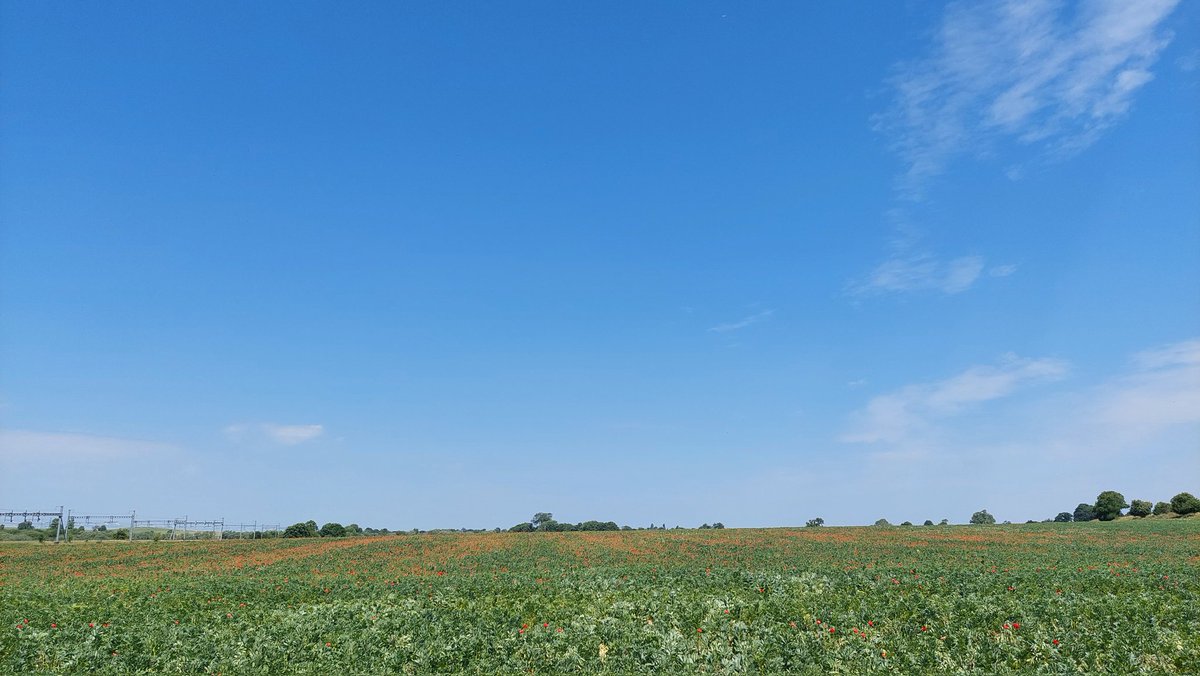 We had a great day on the Ridgeway on Sunday alongside the likes of <a href="/ReadRoadrunners/">Reading Roadrunners</a>, <a href="/VOAAC/">Vale of Aylesbury AC</a>, <a href="/Newbury_AC/">Newbury AC</a>, <a href="/SwindonHarriers/">Swindon Harriers</a>, <a href="/HandyXrunners/">Handy Cross Runners</a> &amp; <a href="/LeightonAthlete/">Leighton Buzzard Athletic Club</a> so maybe we'll even see some of them storming into the next Top 10.
race-nation.co.uk/register/witne…
#CotswoldClassic10 #CCMMXXIII
