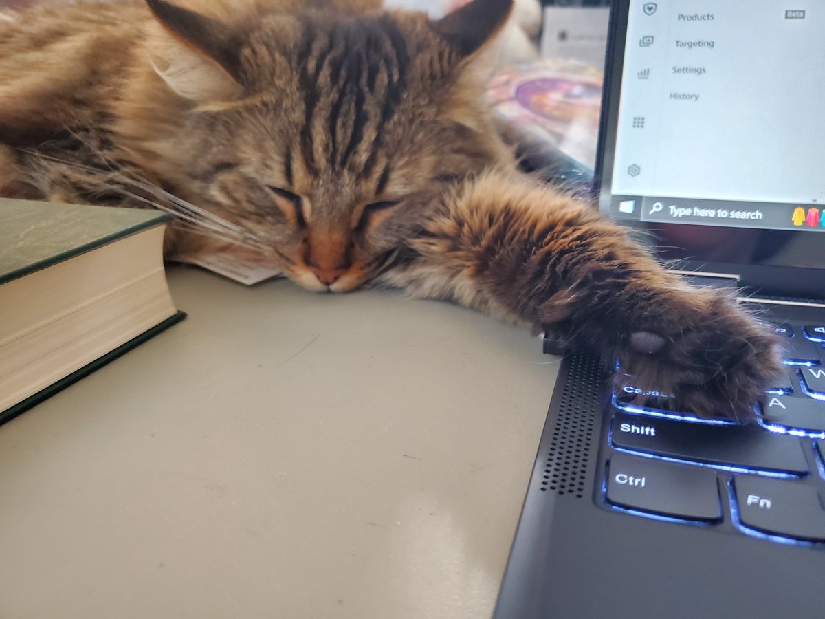 Just another Monday

#Caturday #cat