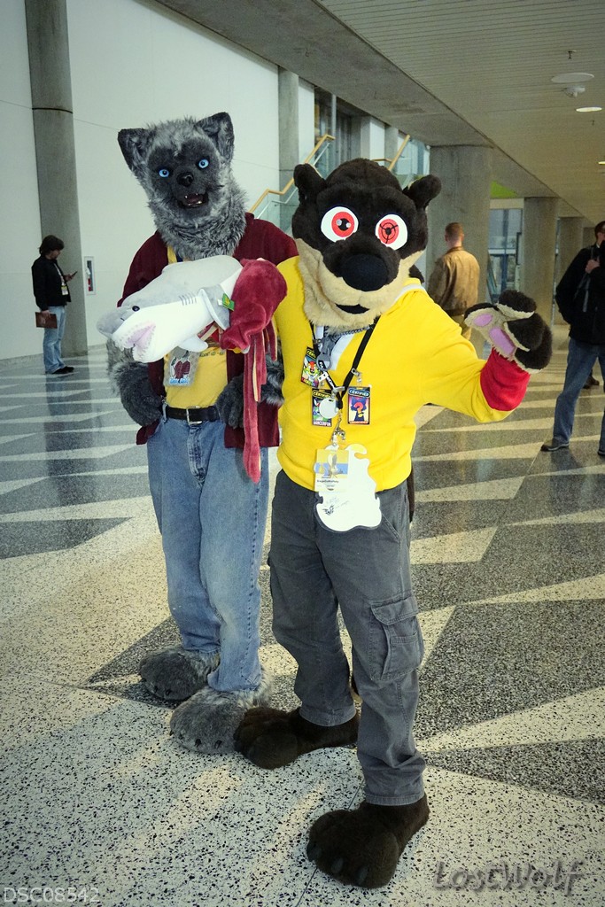 LostWolf321's tweet photo. It's @minstrelbill & @SiegeDaWolfsky @furcon #FC2017 https://t.co/UXHfg4jaJ3