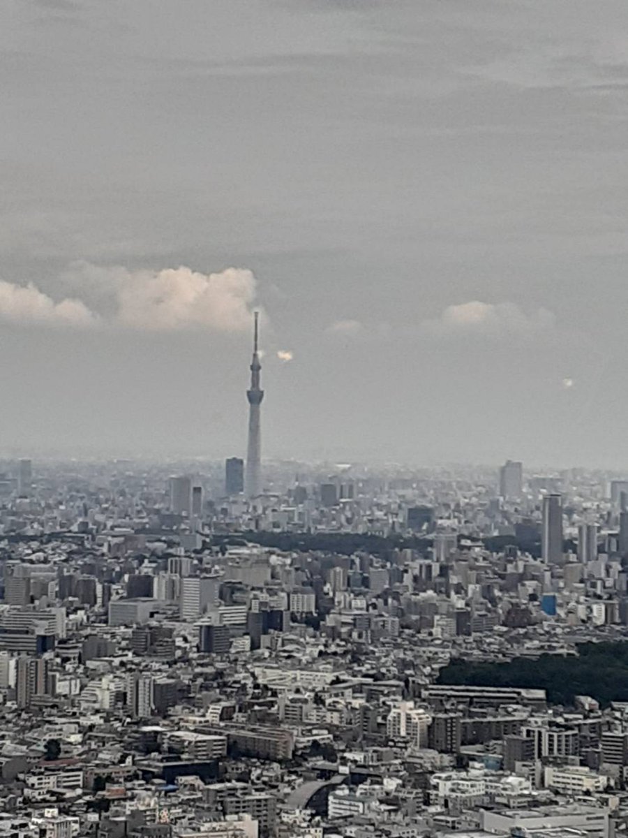 MuSaKou1940's tweet photo. 先週末に武蔵丘同窓会の総会・懇親会、そして卒業30年記念同期会が４年ぶりに池袋にて開催されました。素晴らしい景色を眺めながら、懐かしい面々で集まり、楽しく盛り上がりました！

#都立武蔵丘 #武蔵丘同窓会 #上鷺宮 #鷺ノ宮 #富士見台 #中村橋 https://t.co/JfbvV6oMhD