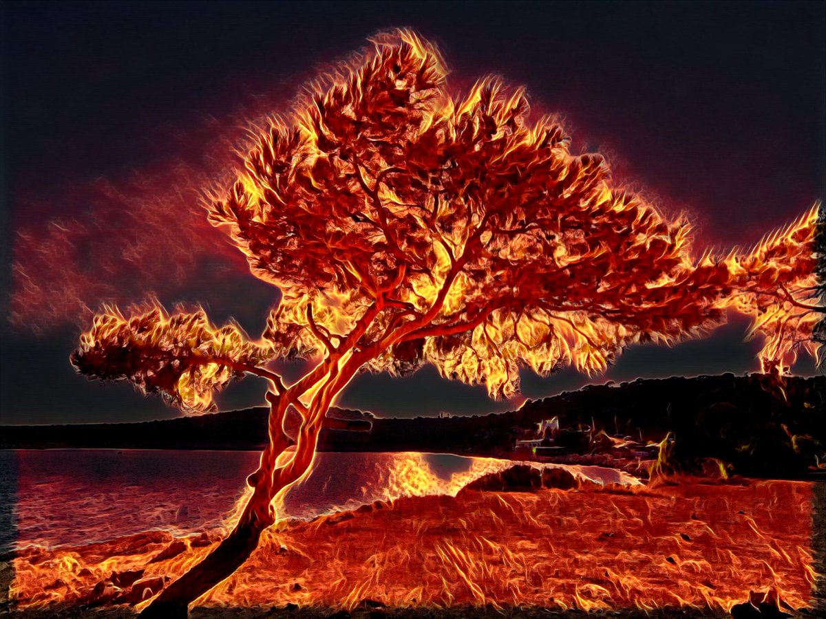 🔎 [#recherche]
Les événements extrêmes sont voués à se multiplier  ! #ClimateChange 🌡️🌏
Il est essentiel de comprendre et prédire leurs comportements.
Des scientifiques <a href="/UnivParisSaclay/">Université Paris-Saclay</a> explorent les catastrophes naturelles et les phénomènes #meteo 👉 tinyurl.com/y4bk39zv